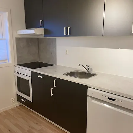 Sentrumsnaer Sokkelleilighet דירה סבולבאר