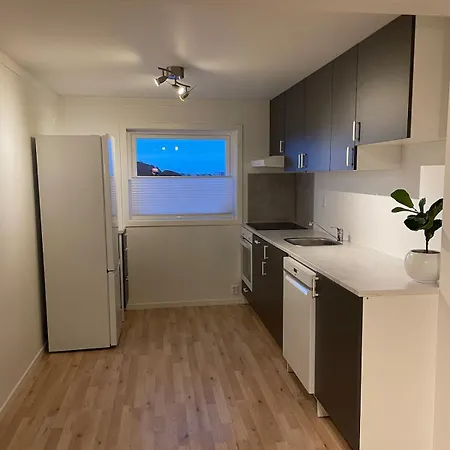 Sentrumsnaer Sokkelleilighet Apartament