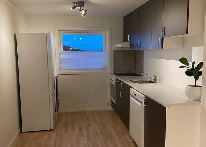 Sentrumsnaer Sokkelleilighet דירה